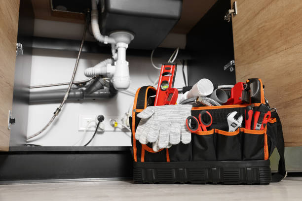Best Local Plumber Services  in Danvers, IL