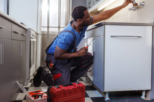 Best Plumbing Services Near Me  in Danvers, IL