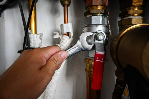 Best Water Heater Repair  in Danvers, IL